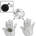 Magic Trick Toy - Coin Disappearance