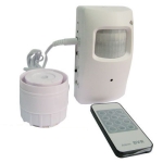 Mini Alarm DVR Camera with Remote Controller , With sony chipset, Only can use original SD card