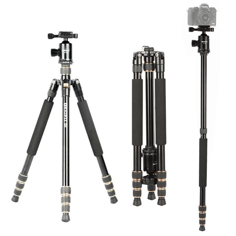 TRIOPO 554 Adjustable Portable Aluminum Aalloy Tripod with D-2A Ball Head for SLR Camera
TRIOPO 554 Adjustable Portable Aluminum Aalloy Tripod with D-2A Ball Head for SLR Camera