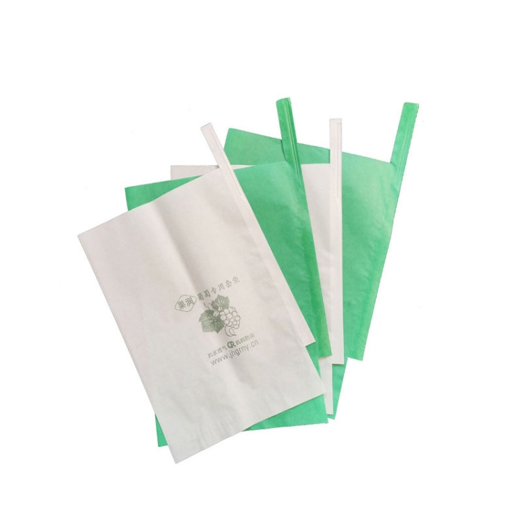 1000 PCS Waterproof Grape Packaging Bag Paper Bag Fruit Protective Bag, Specification:29x38
1000 PCS Waterproof Grape Packaging Bag Paper Bag Fruit Protective Bag, Specification:29x38
