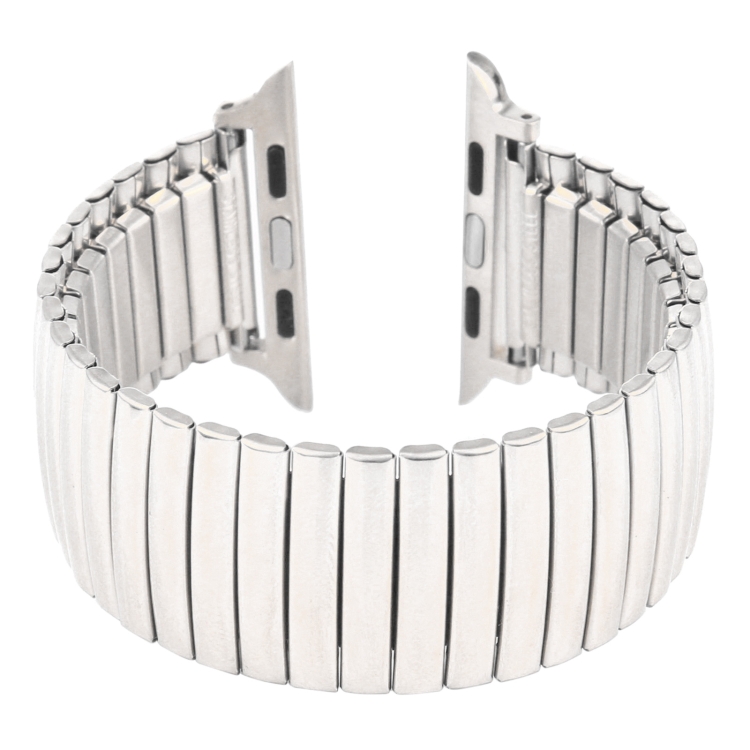 Elastic Aluminum Watchband For Apple Watch Series 6 & SE & 5 & 4 44mm / 3 & 2 & 1 42mm(Silver)
Elastic Aluminum Watchband For Apple Watch Series 6 & SE & 5 & 4 44mm / 3 & 2 & 1 42mm(Silver)
