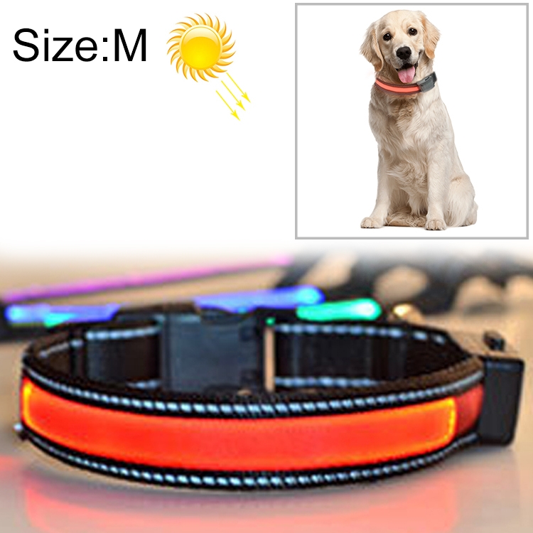 Medium and Large Dog Pet Solar + USB Charging LED Light Collar, Neck Circumference Size: M, 40-50cm(Red)
Medium and Large Dog Pet Solar + USB Charging LED Light Collar, Neck Circumference Size: M, 40-50cm(Red)