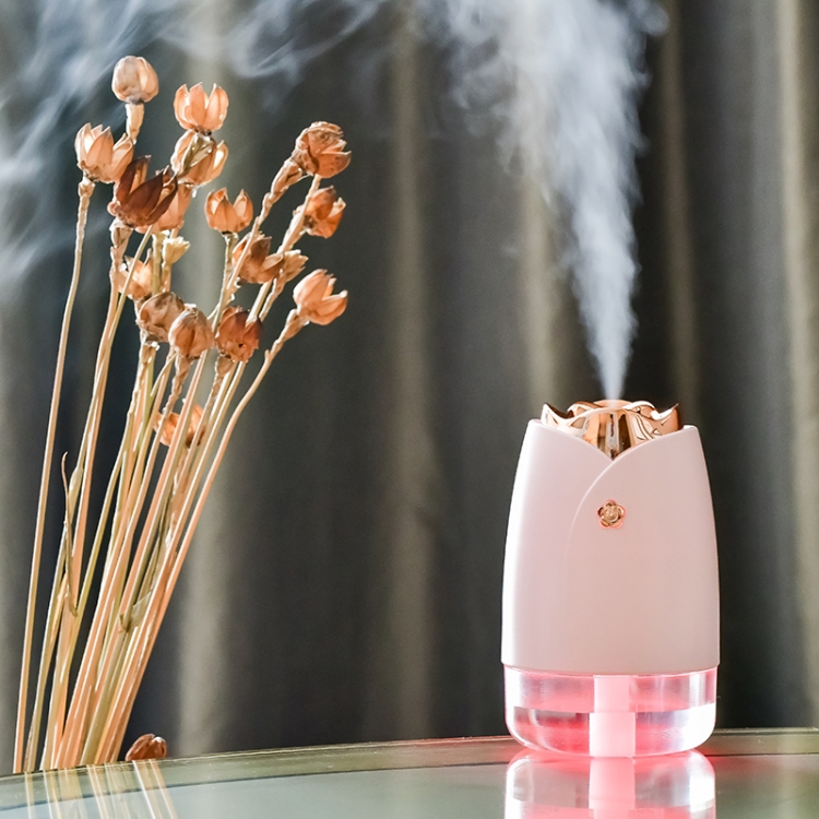 WT-H19 Rose Atomizing Humidifier with Colorful Night Lights, Water Tank Capacity: 230mL (Pink)
WT-H19 Rose Atomizing Humidifier with Colorful Night Lights, Water Tank Capacity: 230mL (Pink)
