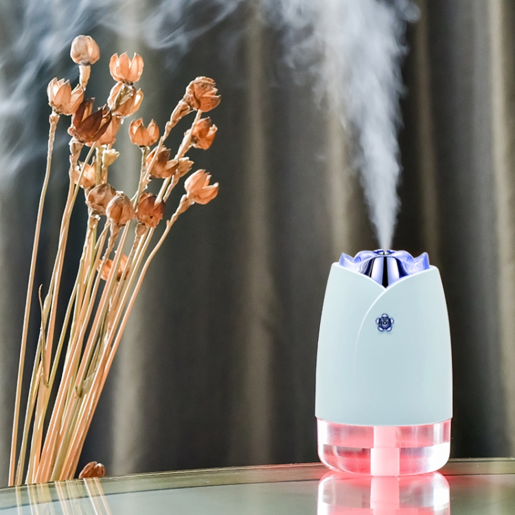 WT-H19 Rose Atomizing Humidifier with Colorful Night Lights, Water Tank Capacity: 230mL (Blue) 
WT-H19 Rose Atomizing Humidifier with Colorful Night Lights, Water Tank Capacity: 230mL (Blue)