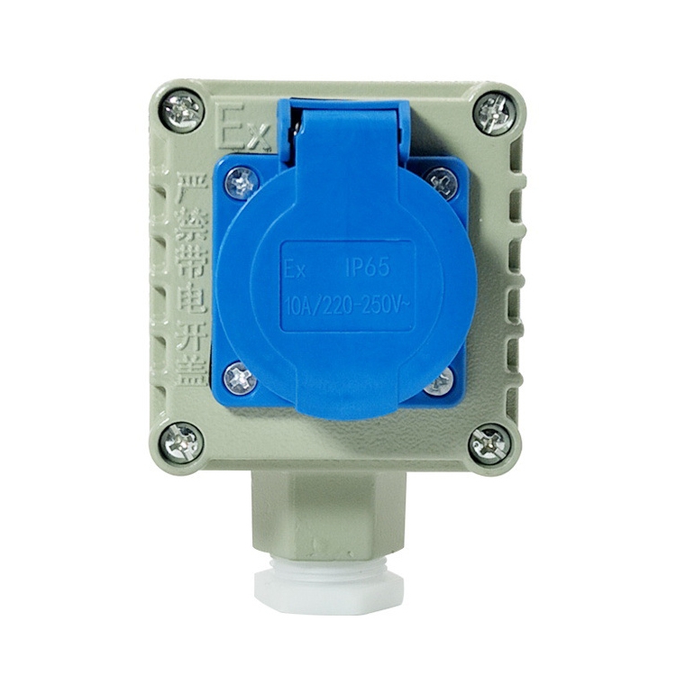 Single Connection Triple Hole 10A Industrial Chemical Industry Outdoor Explosion-proof Waterproof Socket
Single Connection Triple Hole 10A Industrial Chemical Industry Outdoor Explosion-proof Waterproof Socket