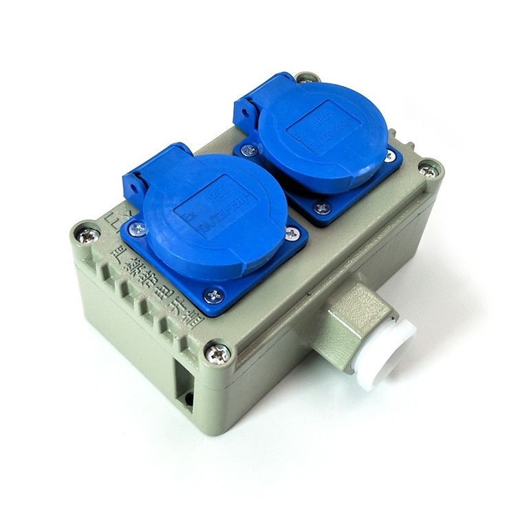 Double Connection Triple Hole 10-16 Industrial Chemical Industry Outdoor Explosion-proof Waterproof Socket
Double Connection Triple Hole 10-16 Industrial Chemical Industry Outdoor Explosion-proof Waterproof Socket