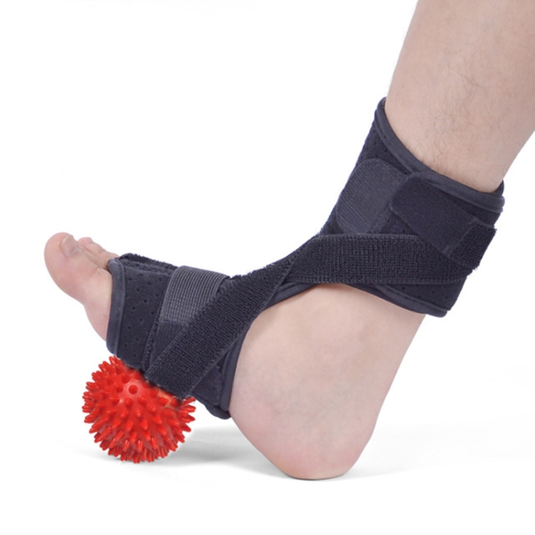 JM03539 2 in 1 Plantar Fasciitis Splint Sprain Memory Cotton Aluminum Strip Splint Protective Gear + Massage Ball Set(Black)
JM03539 2 in 1 Plantar Fasciitis Splint Sprain Memory Cotton Aluminum Strip Splint Protective Gear + Massage Ball Set(Black)