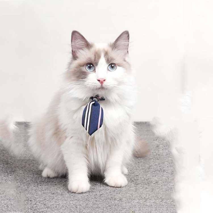 2 PCS Adjustable Pet Cute Bow Tie Cat and Dog Universal Collar Accessories, Size:S(BBlue Vertical Bar)
2 PCS Adjustable Pet Cute Bow Tie Cat and Dog Universal Collar Accessories, Size:S(BBlue Vertical Bar)