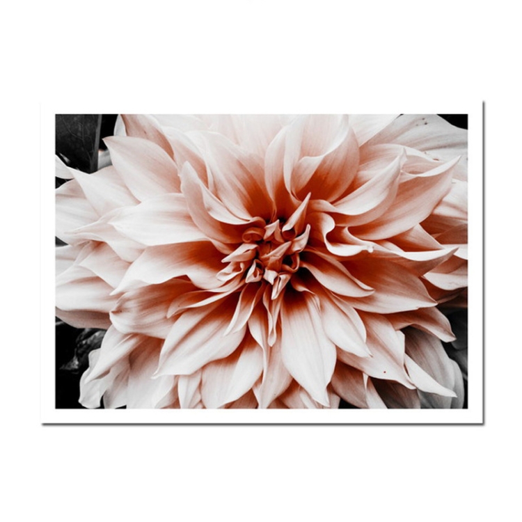 Modern Art Decoration Painting Living Room Sofa Background Wall Painting Core, Without Frame, Size:40x50cm(Big Flower)
Modern Art Decoration Painting Living Room Sofa Background Wall Painting Core, Without Frame, Size:40x50cm(Big Flower)