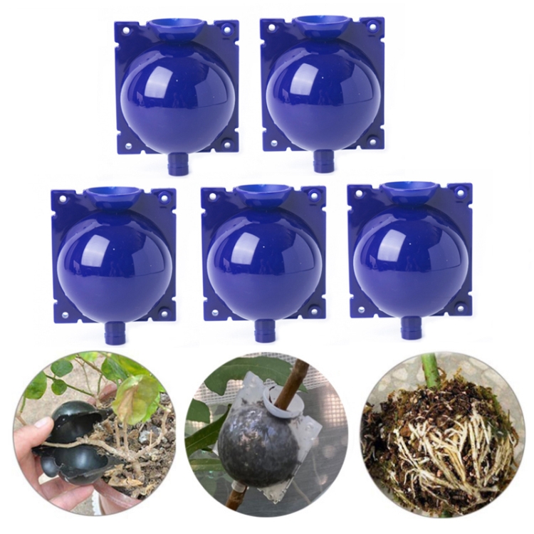 5 PCS High Pressure Propagation Ball Graft Box Breeding Case For Garden Graft, Size: 5cm(Purple)
5 PCS High Pressure Propagation Ball Graft Box Breeding Case For Garden Graft, Size: 5cm(Purple)
