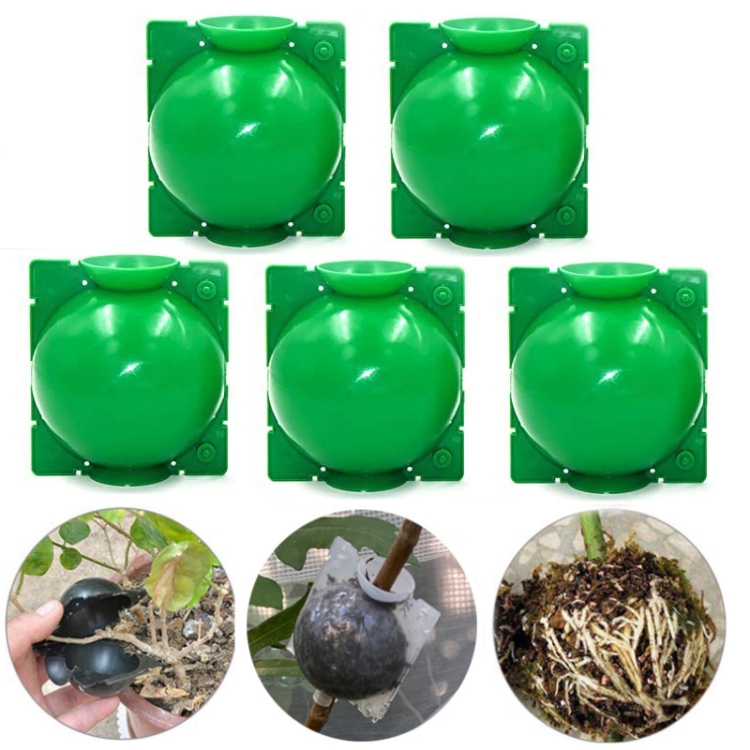 5 PCS High Pressure Propagation Ball Graft Box Breeding Case For Garden Graft, Size: 12cm(Green)
5 PCS High Pressure Propagation Ball Graft Box Breeding Case For Garden Graft, Size: 12cm(Green)
