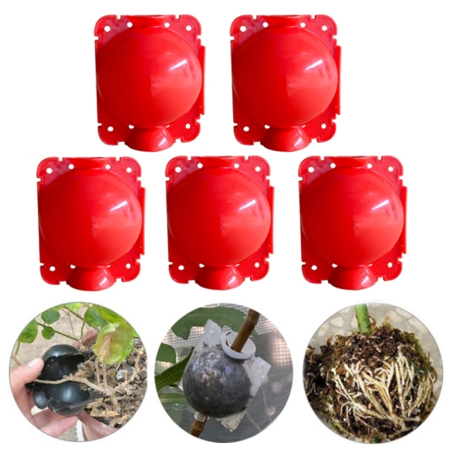 5 PCS High Pressure Propagation Ball Graft Box Breeding Case For Garden Graft, Size: 12cm(Red)
5 PCS High Pressure Propagation Ball Graft Box Breeding Case For Garden Graft, Size: 12cm(Red)