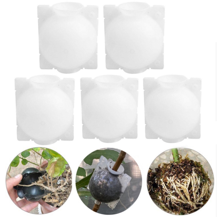 5 PCS High Pressure Propagation Ball Graft Box Breeding Case For Garden Graft, Size: 12cm(White)
5 PCS High Pressure Propagation Ball Graft Box Breeding Case For Garden Graft, Size: 12cm(White)