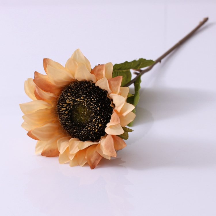 5 PCS Retro Sunflower Sunflower Simulation Sunflower Bouquet Wedding Bride Holding Fake Flowers(Autumn Yellow)
5 PCS Retro Sunflower Sunflower Simulation Sunflower Bouquet Wedding Bride Holding Fake Flowers(Autumn Yellow)