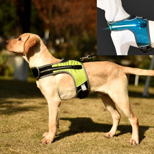 K-Shaped Luminous LED Harness for Pet Dogs without Rope, Size:S(Fluorescent Green With Light)
K-Shaped Luminous LED Harness for Pet Dogs without Rope, Size:S(Fluorescent Green With Light)