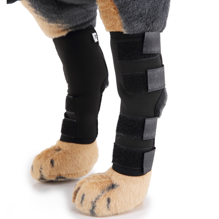 Pet Knee Pads Dog Leg Guards Pet Protective Gear Surgery Injury Sheath, Size: M(HJ01 Classic Black)
Pet Knee Pads Dog Leg Guards Pet Protective Gear Surgery Injury Sheath, Size: M(HJ01 Classic Black)
