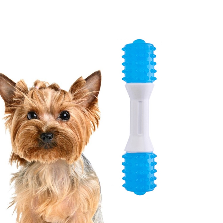 Nylon TPU Two-Color Bite Stick Puppy Toy Bone Teddy Golden Retriever Molar Toys, Specification: Large Dentist
Nylon TPU Two-Color Bite Stick Puppy Toy Bone Teddy Golden Retriever Molar Toys, Specification: Large Dentist