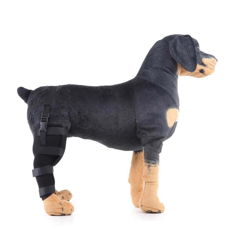 HJ19 Pet Surgery Rehabilitation Back Leg Protector Walking Aids, Size: XS(Black Right Back Leg)
HJ19 Pet Surgery Rehabilitation Back Leg Protector Walking Aids, Size: XS(Black Right Back Leg)