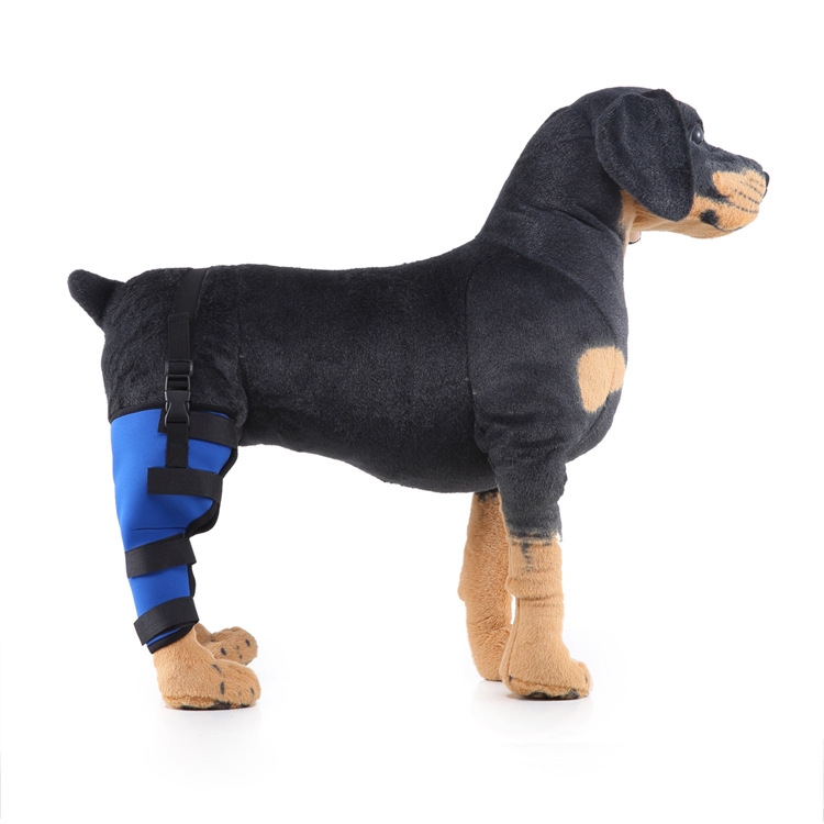 HJ19 Pet Surgery Rehabilitation Back Leg Protector Walking Aids, Size: L(Blue Right Back Leg)
HJ19 Pet Surgery Rehabilitation Back Leg Protector Walking Aids, Size: L(Blue Right Back Leg)