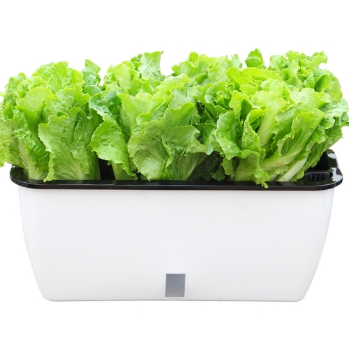 Family Balcony Rectangular Plastic Self-Absorbent Vegetable Growing Pot Flower Pot, Style: SC02 Big Pot
Family Balcony Rectangular Plastic Self-Absorbent Vegetable Growing Pot Flower Pot, Style: SC02 Big Pot