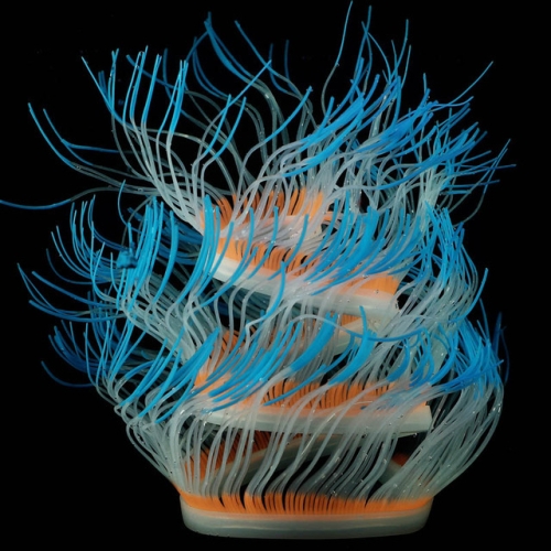 Aquarium Fish Tank Landscaping Decoration Silica Gel Simulation Software Coral Fluorescent Anemone, Size: 75cm(Blue)
Aquarium Fish Tank Landscaping Decoration Silica Gel Simulation Software Coral Fluorescent Anemone, Size: 75cm(Blue)