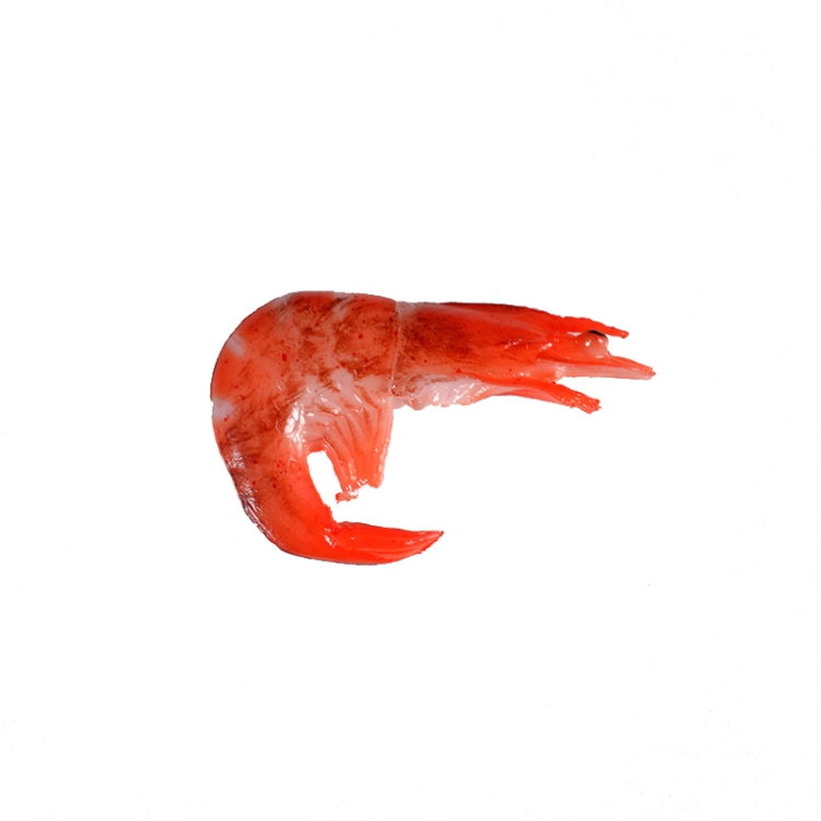 3 PCS Simulation Shrimp Camera Props Children Play House Toys(Big Grilled Shrimp)
3 PCS Simulation Shrimp Camera Props Children Play House Toys(Big Grilled Shrimp)