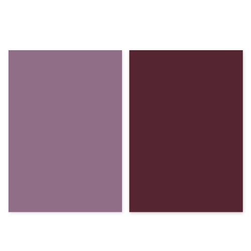 2 PCS Double-Sided Photo Background Paper Thickening Morandi Series Shoot Props(Clove+Purple)
2 PCS Double-Sided Photo Background Paper Thickening Morandi Series Shoot Props(Clove+Purple)