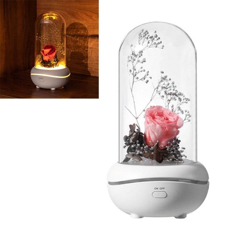 Eternal Flower Aromatherapy Colorful LED Night Light USB Charging Atmosphere Light(Pink Rose)
Eternal Flower Aromatherapy Colorful LED Night Light USB Charging Atmosphere Light(Pink Rose)
