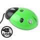 Beetle Style USB 3D Optical Mouse (Light Green)