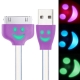 USB Cable for iPhone 4 & 4S, iPhone 3GS/3G, iPad 2/iPad, iPod Touch, Length: 30cm (Purple)