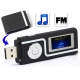 8GB MP3 Player with LCD Screen, Support FM Radio, Double 3.5 mm Earphone (Black)