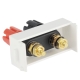 Wall Plate Insert - Amplifier Terminal Binding Post Banana Plug Jack