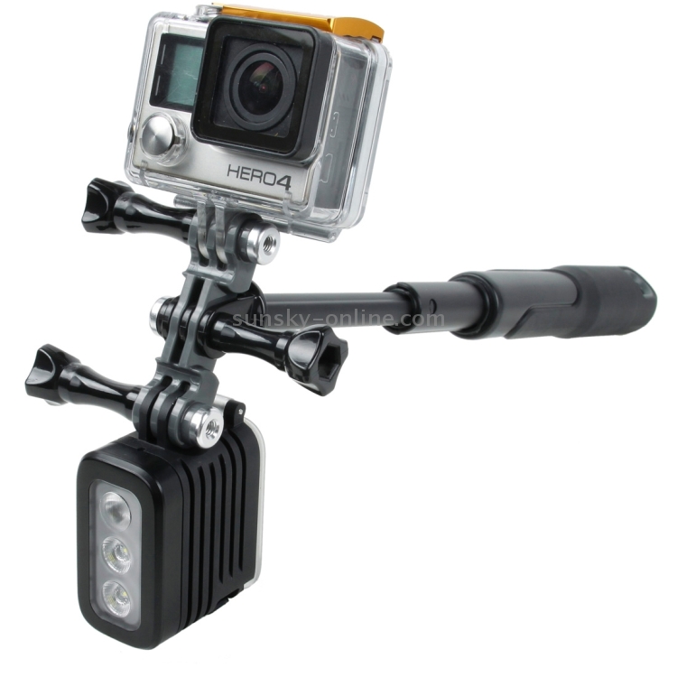 Double go pro