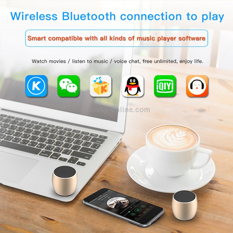 sardine wireless speaker f1