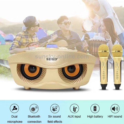 Double Bluetooth Speaker with 2 Wireless Microphone Outdoor Home KTV Stereo Microphone Loud 20W SDRD SD 306 Speaker Set