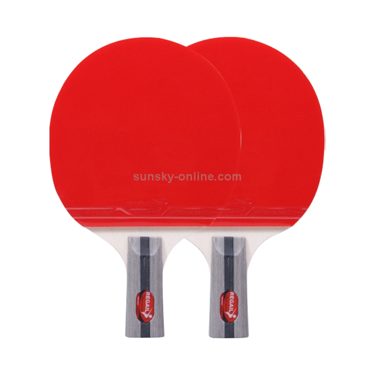 Sunsky Regail 8020 2 In 1 Short Handle Penhold Ping Pong Racket