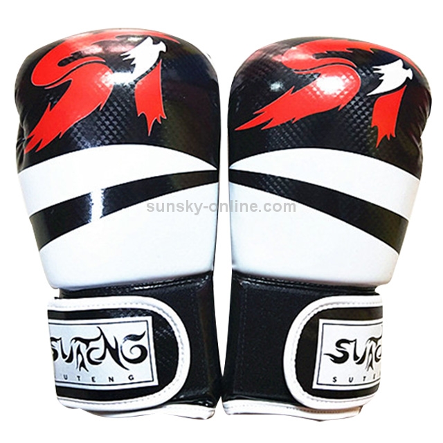 boxing kit for adults online