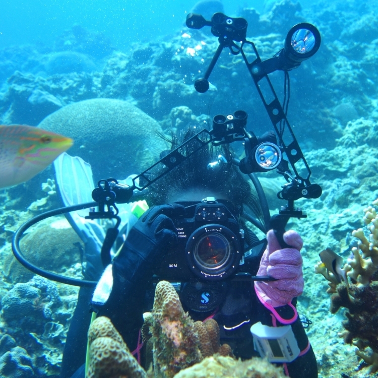 2Pcs Ball Adapter Mount w// 1//4/" Screw for Underwater Camera Diving Photograph SU