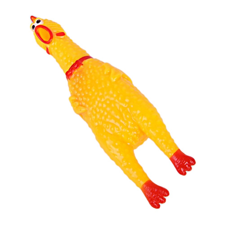chicken cat toy