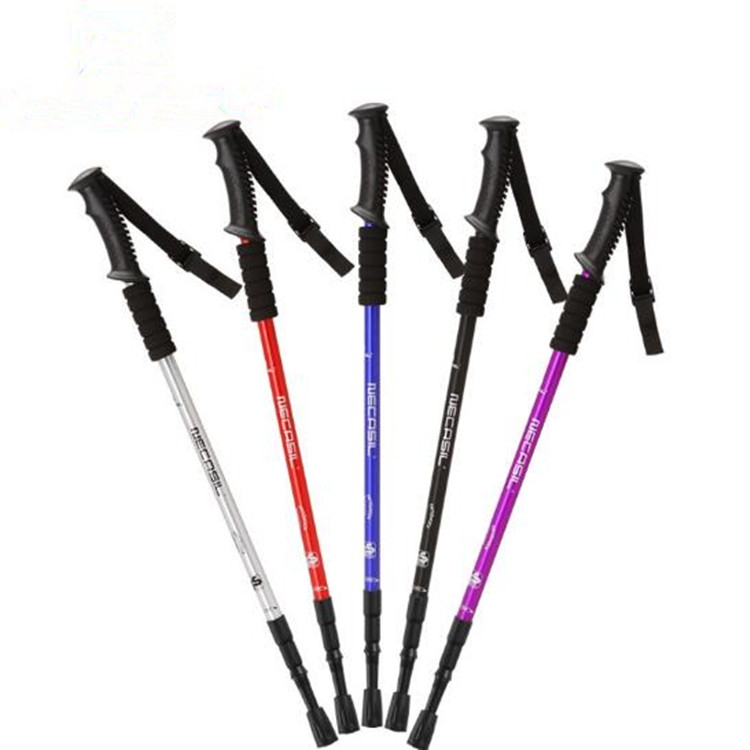 necasil walking stick