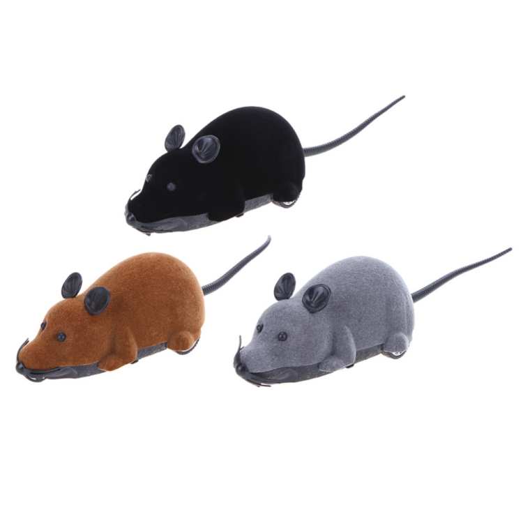 rc mouse for cats