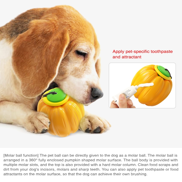 NG-01 Dog Molars Resistant To Bite Ball Pumpkin Hand Throwing Force Toy Ball(Green) - B4
