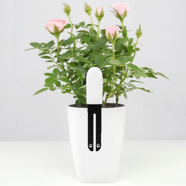 

International Version Original Xiaomi Mi Bluetooth Smart Plants Monitor Flower and Plants Tester Mi Plants Nutrient / Soil Moisture / Temperature / Light Sensor Detector(White)