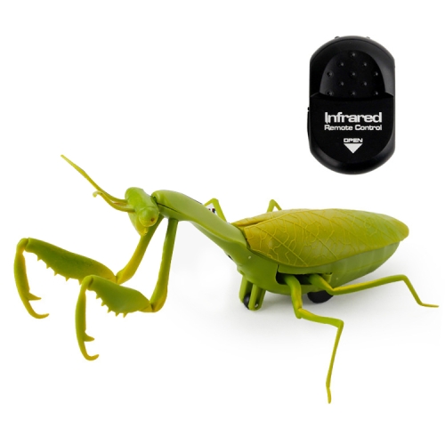 praying mantis toy