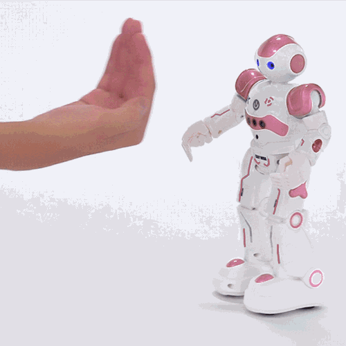 cady wida robot charger