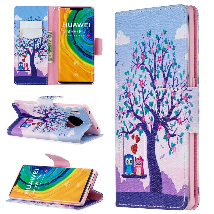 

For Huawei Mate 30 Pro Colored Drawing Horizontal Flip Leather Case with Holder & Card Slots & Wallet(Two Eagle)