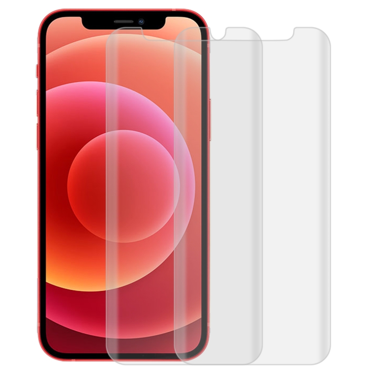 

2 PCS 3D Curved Silk-screen PET Full Coverage Protective Film For iPhone 12 mini(Transparent)