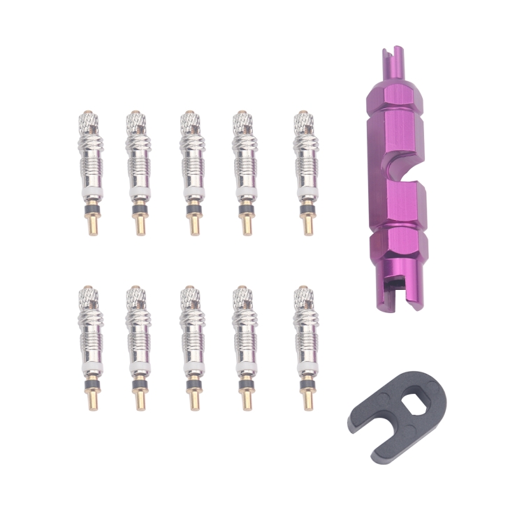 

A5589 10 PCS Bicycle French Valve Core with Purple Disassembly Tool