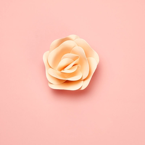 

Rose Creative Paper Cutting Shooting Props Flowers Papercut Jewelry Cosmetics Background Photo Photography Props(Champagne)