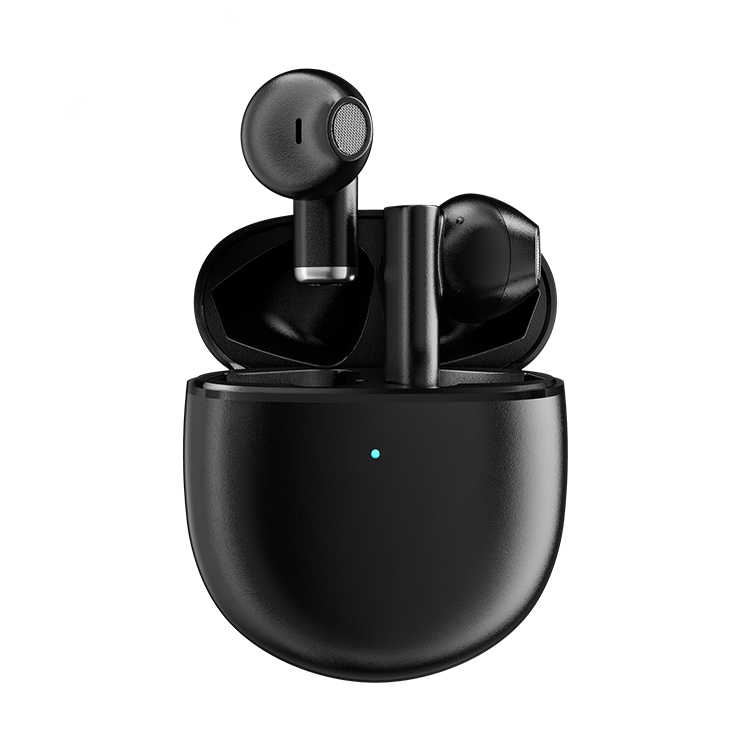 

Pro 9 Noise Reduction Dual Mode Bluetooth Earphone with Charging Case(Black)
